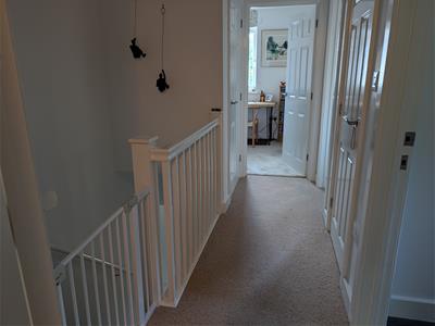 Picture 7
